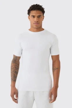 Basic Muscle Fit T-shirt | BoohooMAN UK