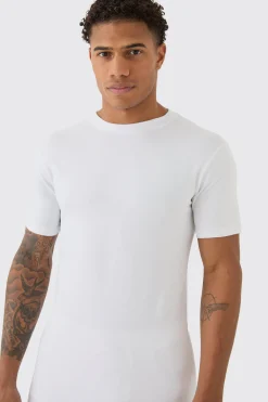 Basic Muscle Fit T-shirt | BoohooMAN UK