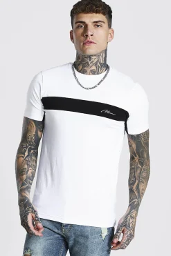 Muscle Fit Man Signature Colour Block T-shirt | BoohooMAN UK