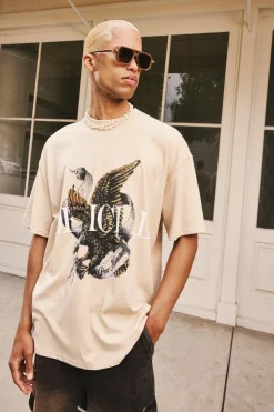 Oversized Extended Neck Heavyweight Official Bird Graphic T-shirt | BoohooMAN UK