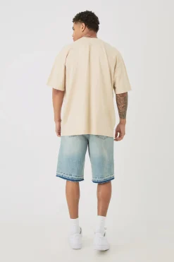 Oversized Extended Neck Heavyweight Official Bird Graphic T-shirt | BoohooMAN UK