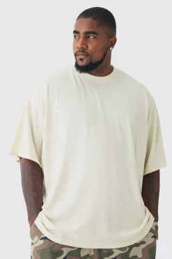 Plus 2 Pack Oversized T-shirt | BoohooMAN UK