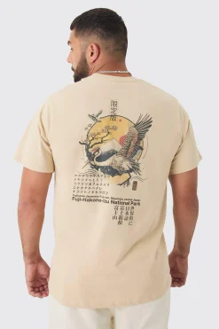 Plus Bird Graphic Back Print T-shirt | BoohooMAN UK