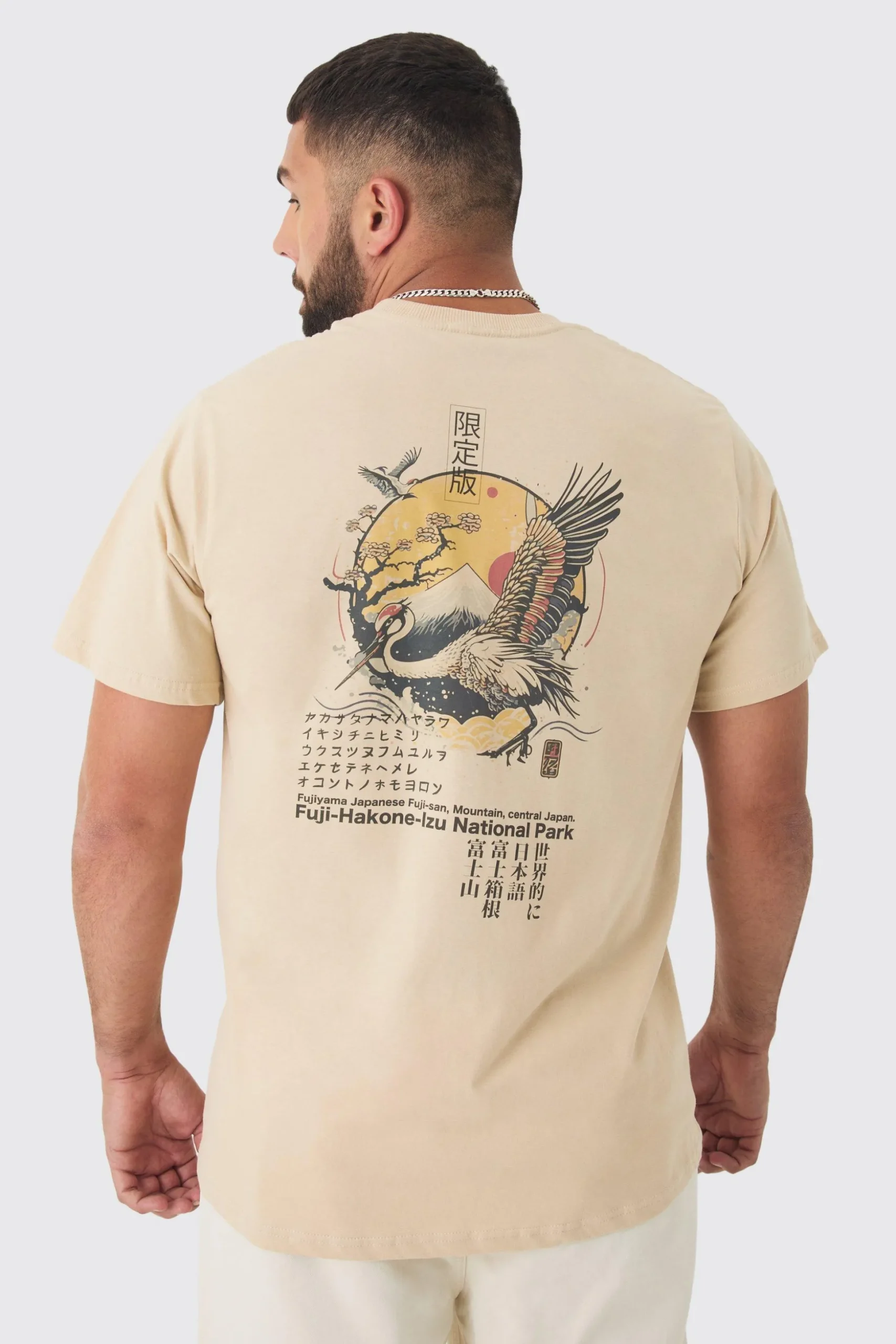 Plus Bird Graphic Back Print T-shirt | BoohooMAN UK
