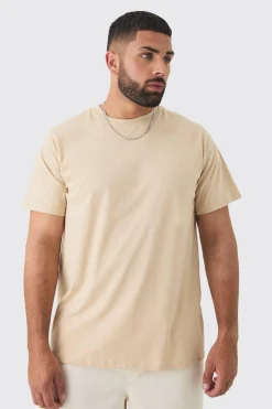 Plus Bird Graphic Back Print T-shirt | BoohooMAN UK