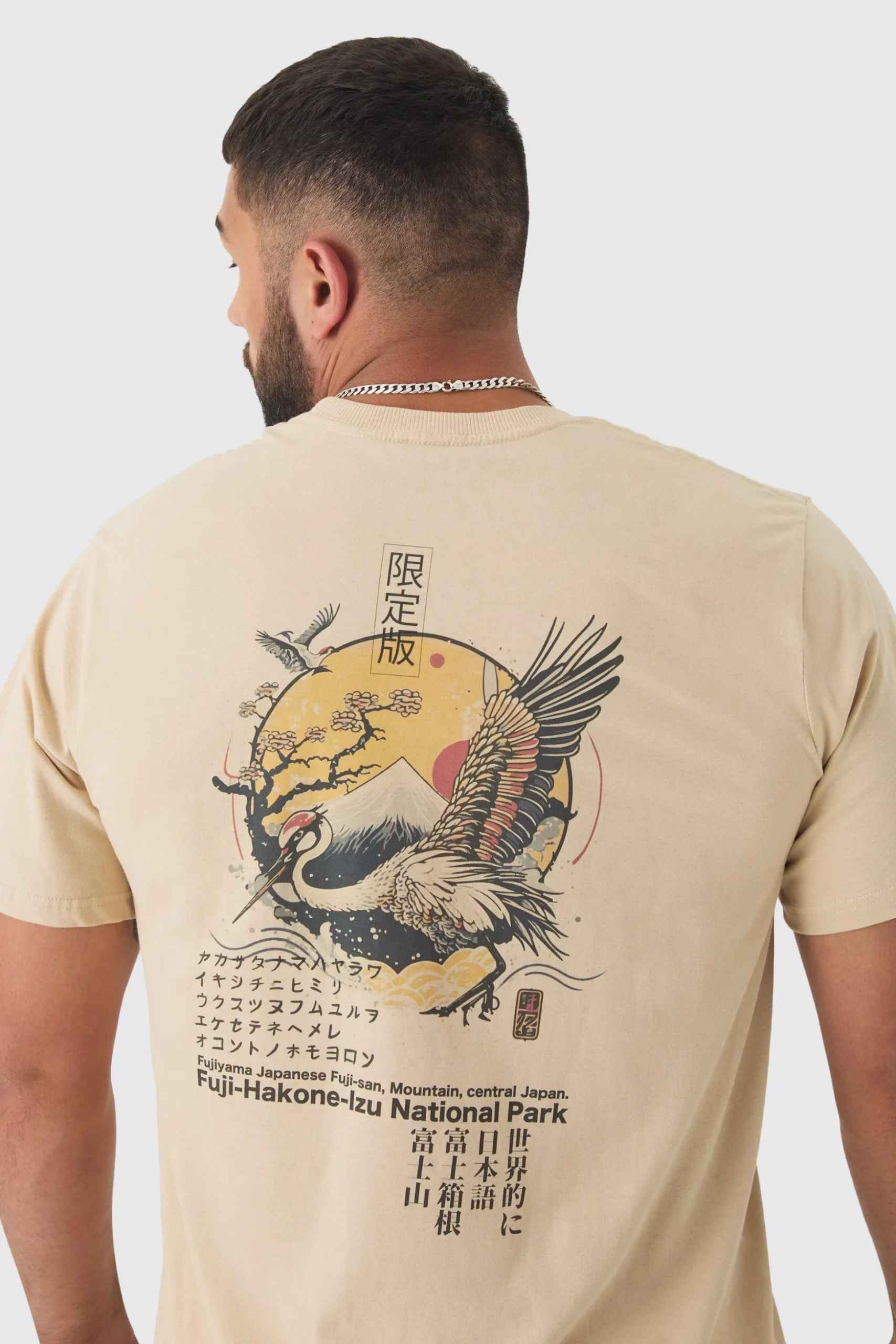 Plus Bird Graphic Back Print T-shirt | BoohooMAN UK