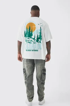 Plus Colorado Back Printed Oversized T-Shirt | BoohooMAN UK