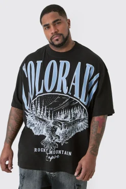 Plus Colorado Varsity Graphic T-shirt In Black | BoohooMAN UK