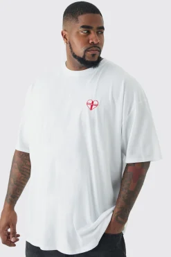 Plus England Embroidered T-shirt | BoohooMAN UK