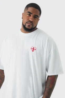 Plus England Embroidered T-shirt | BoohooMAN UK