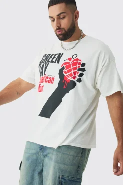 Plus Green Day License Print T-shirt | BoohooMAN UK