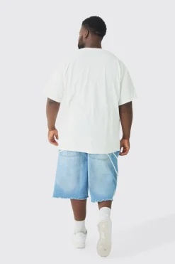 Plus Nirvana Face License T-shirt | BoohooMAN UK