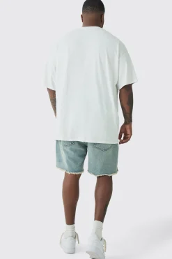 Plus Nirvana Tie Dye Logo License T-shirt | BoohooMAN UK