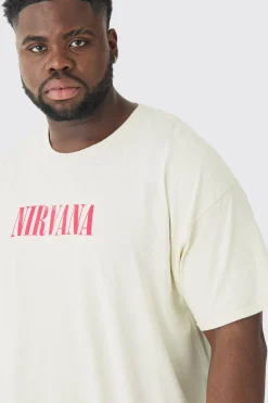 Plus Nirvana Wash License T-shirt | BoohooMAN UK