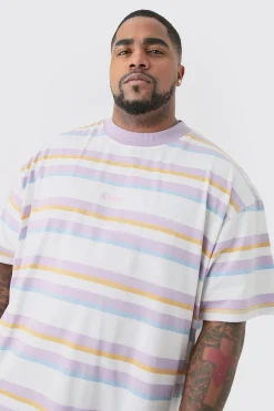 Plus Oversized Carded Heavy Striped Ofcl T-shirt | BoohooMAN UK