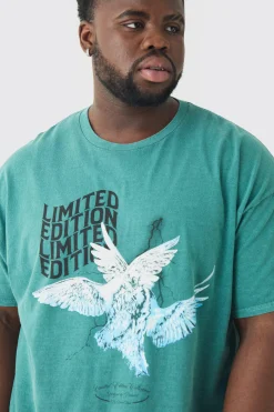Plus Oversized Washed Dove Graphic T-shirt | BoohooMAN UK