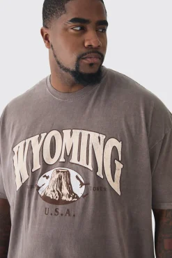 Plus Oversized Washed Wyoming Print T-shirt | BoohooMAN UK