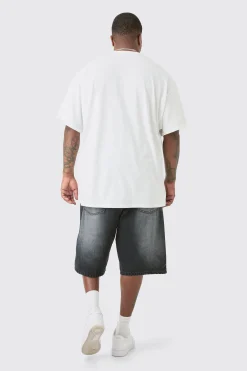 Plus Street Fighter License Print T-shirt | BoohooMAN UK