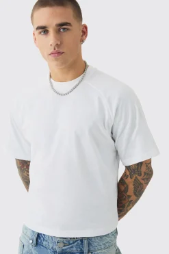 Raglan Sleeve Baby T-shirt | BoohooMAN UK