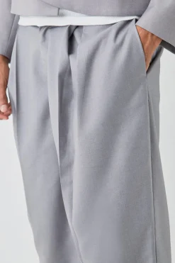Tailored Fixed Waist Wide Leg Pleated Trouser In Grey | BoohooMAN UK